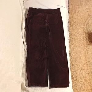 Ann Taylor Velor slacks